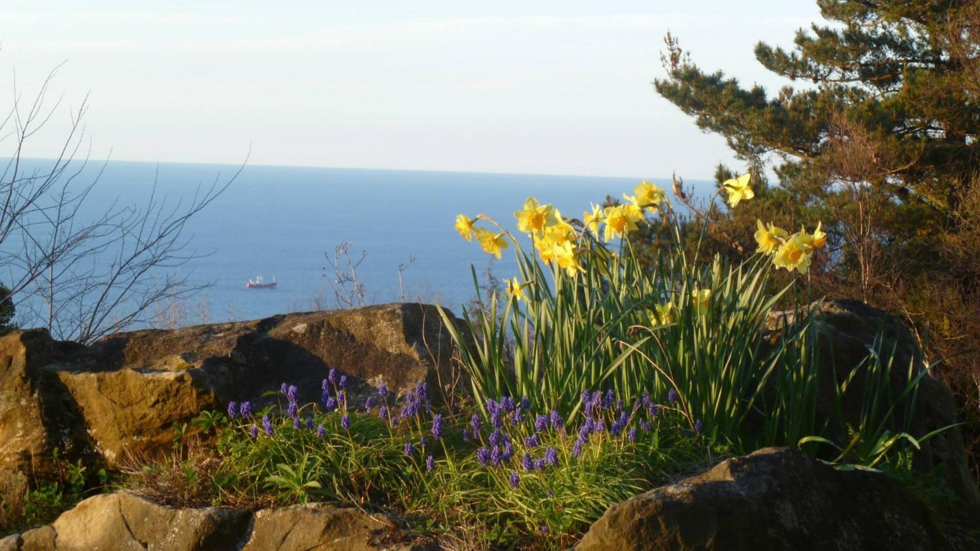 Apartamentos Mar Y Mar Agroturismo San Sebastián Exteriér fotografie